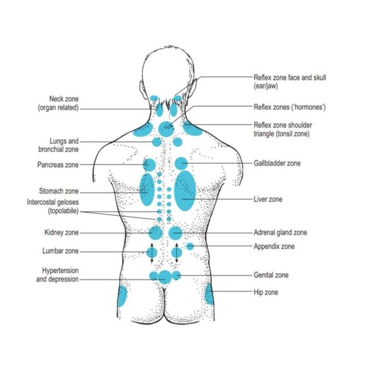 k-start-course-image